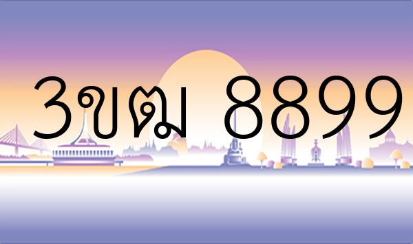 3ขฒ 8899